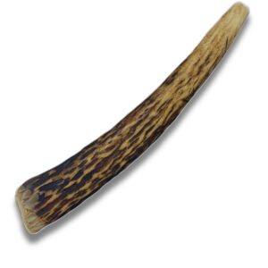 whitetail naturals - premium deer antlers for small dogs - naturally shed dog antler, long lasting chew bone for puppies and smaller breeds