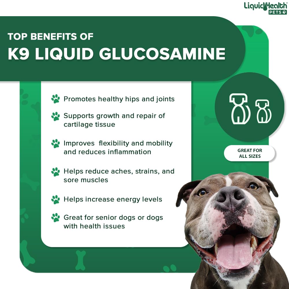 LIQUIDHEALTH Pets K9 Glucosamine Chondroitin Hip & Joint Formula & K9 Complete 8-in-1 Multivitamin for Dogs & Puppies - Pet Supplement Bundle for Joint Health, Immune Support, Canine Vitamins