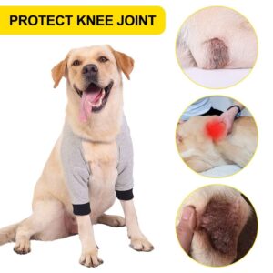 DONGKER Dog Recovery Sleeve,Elastic Dog Front Leg Brace with Adjustable Buckle & Soft Padded for Dog Knee After Surgery Wear