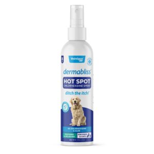 vetnique dermabliss hot spot treatment for dogs - antiseptic medicated chlorhexidine spray - vet recommended for skin infections, hot spots & irritation (hot spot spray, 8oz)