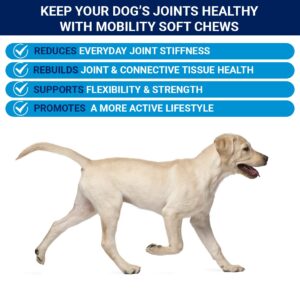 Lively Paws™ Mobility 10 Hip & Joint Care Supplement for Dogs- Soft Chews with Glucosamine, MSM, Green-Lipped Mussel, Manganese, Chondroitin & Vitamin C