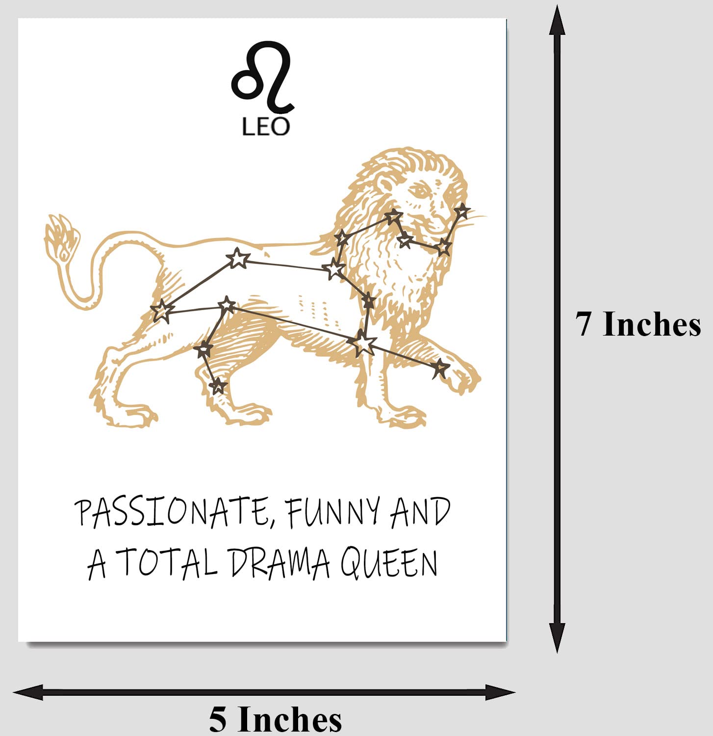 PICTURE THIS PRINTS Funny Leo Zodiac Birthday Card, Zodiac-themed Card, Astrology Greeting Card, Card with Envelope, Leo Birthday Card, Leo Astrology Card, Zodiac Greeting Card, 5x7 inches