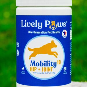 Lively Paws™ Mobility 10 Hip & Joint Care Supplement for Dogs- Soft Chews with Glucosamine, MSM, Green-Lipped Mussel, Manganese, Chondroitin & Vitamin C