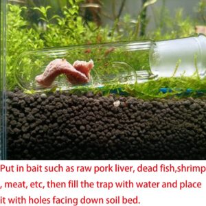 2 pcs Glass 2 Pieces Planaria Trap 3-Holes Glass Snail Catcher For Aquarium Cherry Shrimp Crystal Red Shrimp Dwarf Shrimp Trap