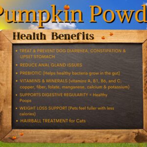 100% Pumpkin for Dogs/Cats, U.S.A. Dried Pumpkin Powder Fiber Supplement, Diarrhea/Constipation Fix, 12 Servings, Trial Packet