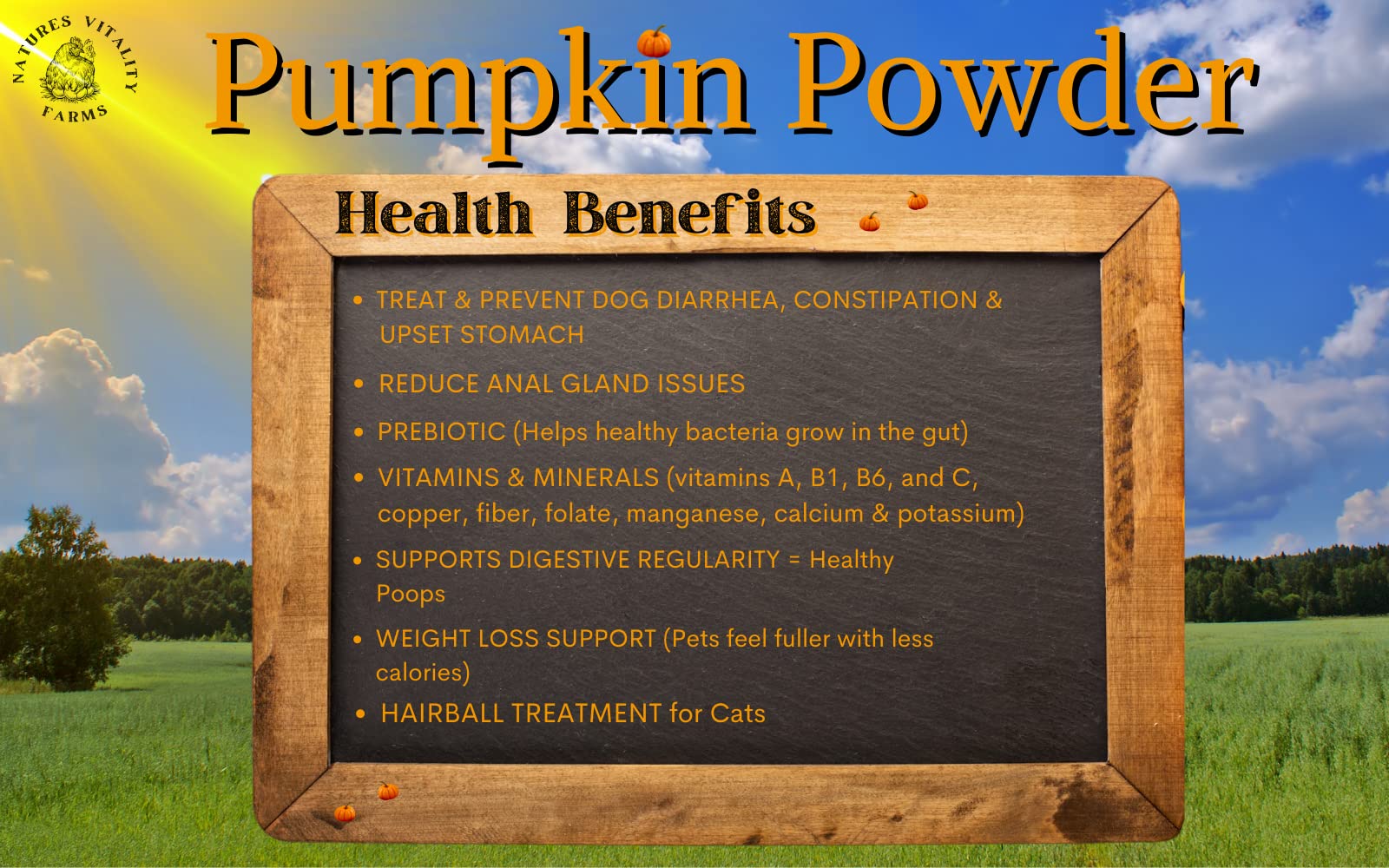 100% Pumpkin for Dogs/Cats, U.S.A. Dried Pumpkin Powder Fiber Supplement, Diarrhea/Constipation Fix, 12 Servings, Trial Packet