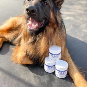 Lively Paws™ Mobility 10 Hip & Joint Care Supplement for Dogs- Soft Chews with Glucosamine, MSM, Green-Lipped Mussel, Manganese, Chondroitin & Vitamin C