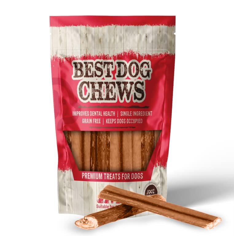 Best Dog Chews Bully Sticks Bites - 100% All Natural for Dogs Grain and Rawhide Free Beef Chews, Grass-Fed Promotes Joint & Dental Health For All Breed Sizes Dogs and Puppies - 2-4 Inch Odd Shapes 8oz