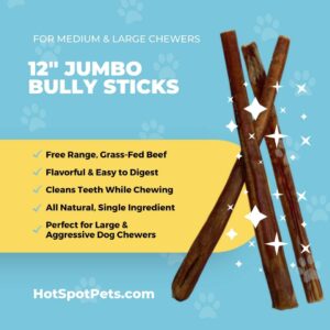 hotspot pets Jumbo Bully Sticks for Aggressive Chewers (12 Inch, 6 Pack), Extra-Thick Dog Chews, Low Odor & Fully Digestible 100% Beef Chews, Best Natural Dental Treat