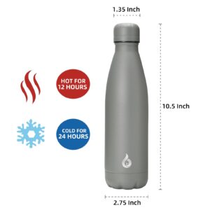 BJPKPK Insulated Water Bottle 17oz Stainless Steel Water Bottles Dishwasher Safe Sports Water Bottles-Gray