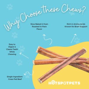 hotspot pets Jumbo Bully Sticks for Aggressive Chewers (12 Inch, 6 Pack), Extra-Thick Dog Chews, Low Odor & Fully Digestible 100% Beef Chews, Best Natural Dental Treat