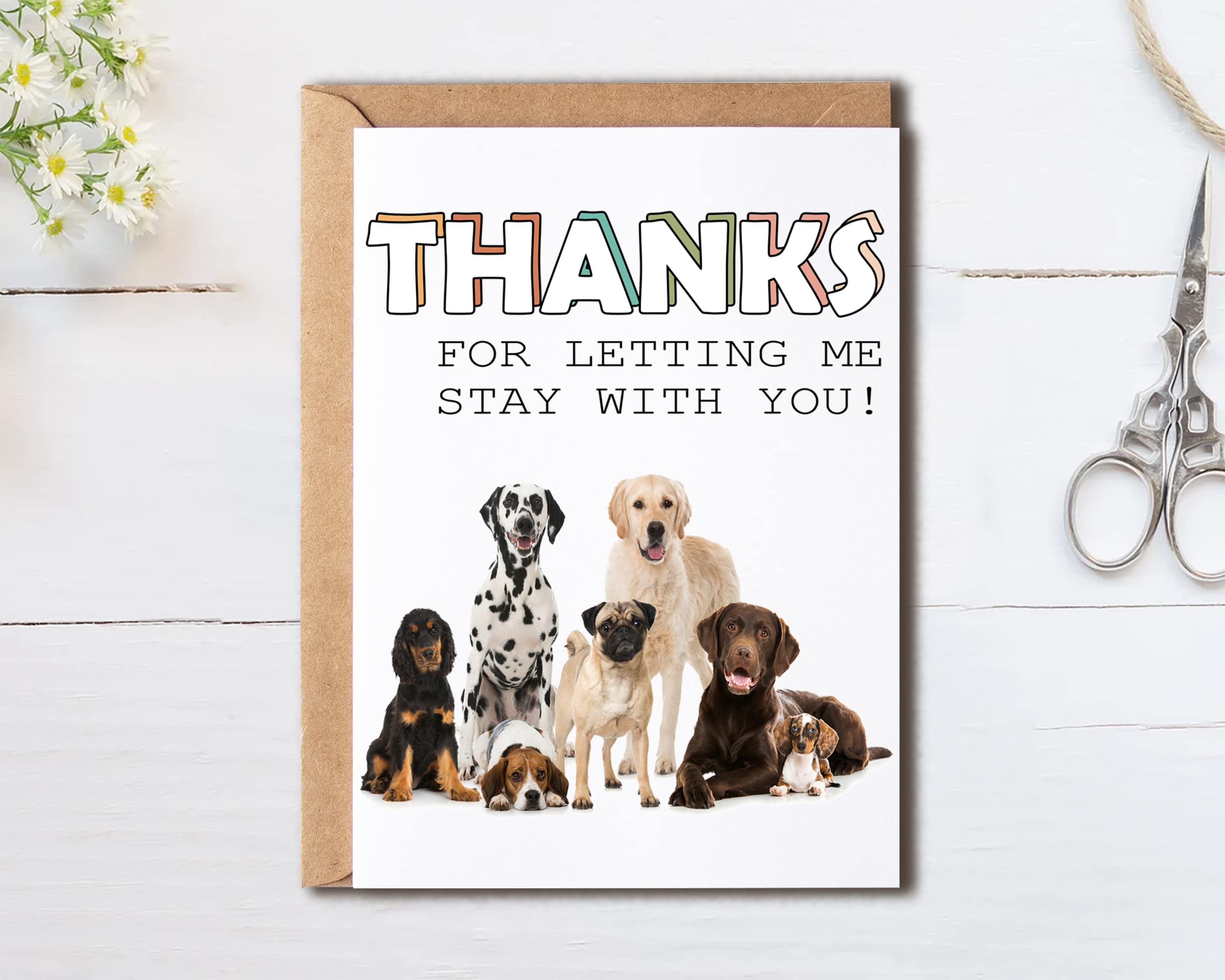 Thanks For Letting Me Stay With You - Dog Sitter Gift - Card From Dog - Dog Thank You Card - Gift For Pet Sitter - Dog Lover Gift Card, 5 x 7 inches