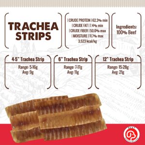 Best Dog Chews Trachea Flats for Dogs - 6 inch - 100% All Natural Beef Dog Treats - Rich in Glucosamine and Chondroitin for Joint Health - Single Ingredient No Rawhide for All Breed Sizes (12 Count)