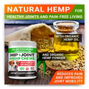 Large Breed Hemp + Glucosamine Dog Joint Supplement - Hemp Chews for Dogs Hip Joint Pain Relief - Omega 3, Chondroitin, MSM - Advanced Mobility Hemp Oil Treats for Large Dogs - Made in USA - 240 Ct