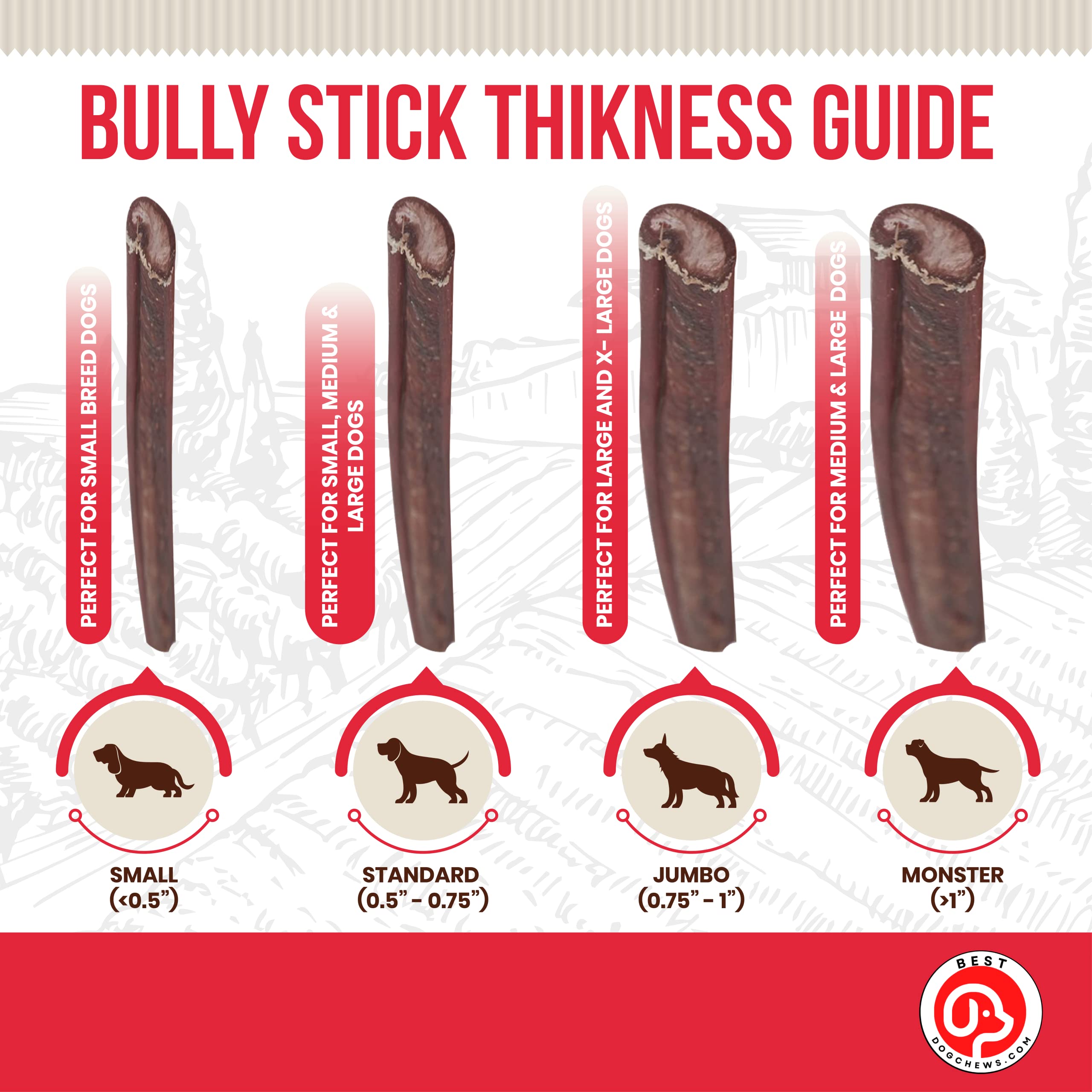 Best Dog Chews Bully Sticks Bites - 100% All Natural for Dogs Grain and Rawhide Free Beef Chews, Grass-Fed Promotes Joint & Dental Health For All Breed Sizes Dogs and Puppies - 2-4 Inch Odd Shapes 8oz