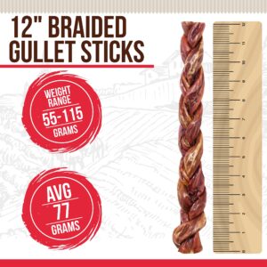 Best Dog Chews Braided Gullet Sticks-100% Natural and Delicious Dog Treats and Protein Rich Chews-Fully Digestible Promotes Joint & Dental Health for All Breed Sizes Dogs and Puppies 12inch (2 Count)