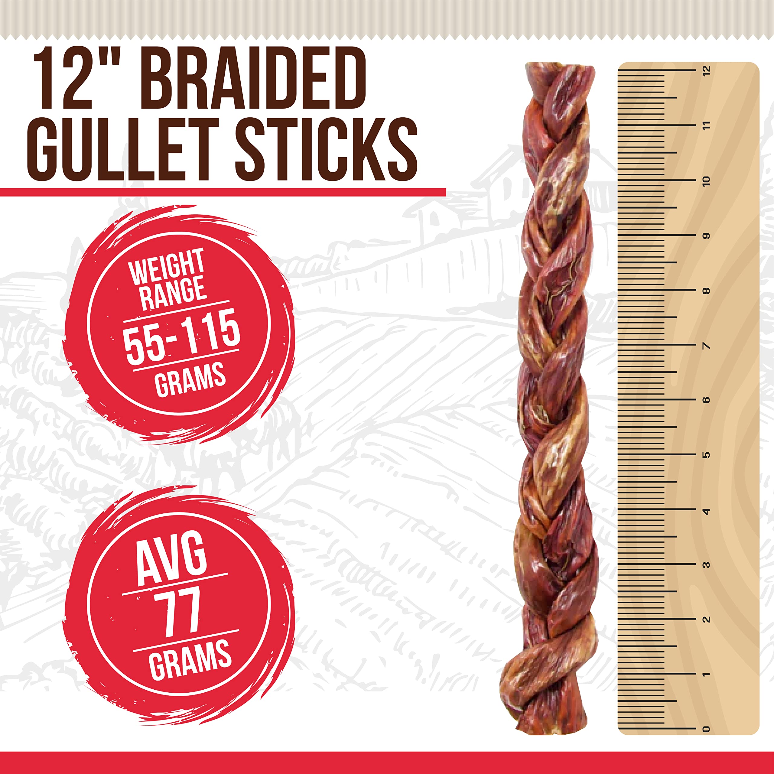 Best Dog Chews Braided Gullet Sticks-100% Natural and Delicious Dog Treats and Protein Rich Chews-Fully Digestible Promotes Joint & Dental Health for All Breed Sizes Dogs and Puppies 12inch (2 Count)