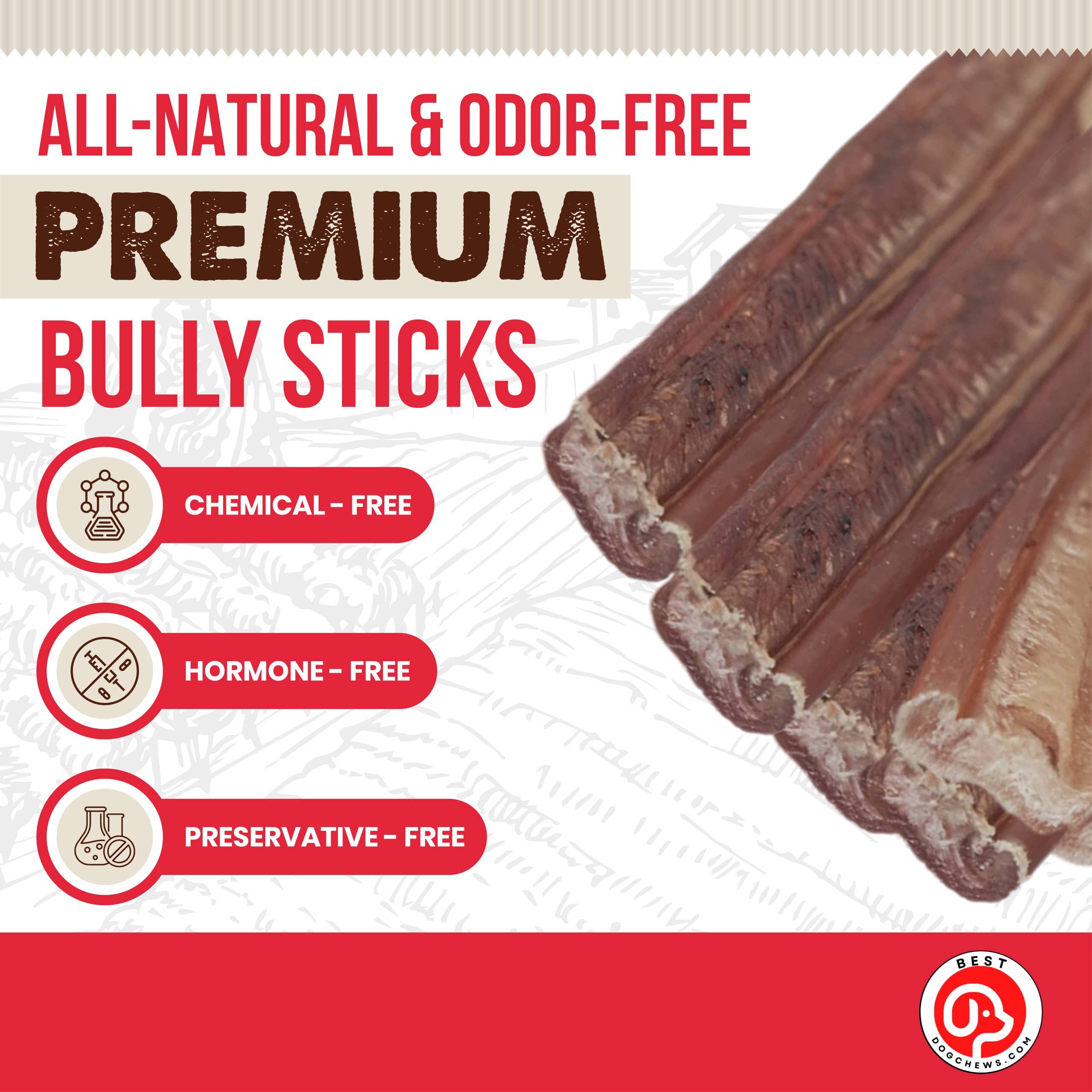 Best Dog Chews Thin Bully Sticks for Dogs 100% Natural Delicious and Protein Rich Keep Your Dog Busy with Chews and Treats Fully Digestible-Great for Dental Health-for All Breed Sizes-6 inch(6 Count)