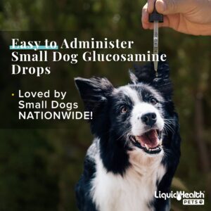 LIQUIDHEALTH 2 Oz Cat Liquid Glucosamine Dropper Small Dog Dropper Chondroitin Joint Purr-Fection, Small Canine Puppies Hip and Joint Health Relief Support, Feline Droppers, Senior Older Cats Kittens