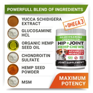 Large Breed Hemp + Glucosamine Dog Joint Supplement - Hemp Chews for Dogs Hip Joint Pain Relief - Omega 3, Chondroitin, MSM - Advanced Mobility Hemp Oil Treats for Large Dogs - Made in USA - 240 Ct