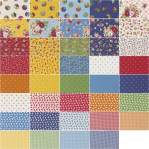 Moda Fabrics Picture Perfect Layer Cake, 42-10'' Precut Fabric Quilt Squares by American Jane