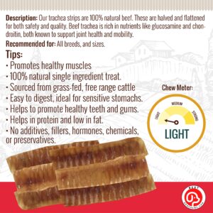 Best Dog Chews Trachea Flats for Dogs - 6 inch - 100% All Natural Beef Dog Treats - Rich in Glucosamine and Chondroitin for Joint Health - Single Ingredient No Rawhide for All Breed Sizes (12 Count)