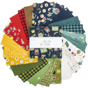 Love You S'More Riley Blake 5-inch Stacker, 42 Precut Fabric Quilt Squares by Gracey Larsen, Assorted