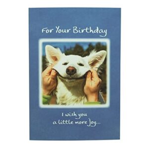 Blue Mountain Arts Birthday Card Assortment—3 Unique Greeting Cards with Uplifting Happy Birthday Wishes for the Special People in Your Life