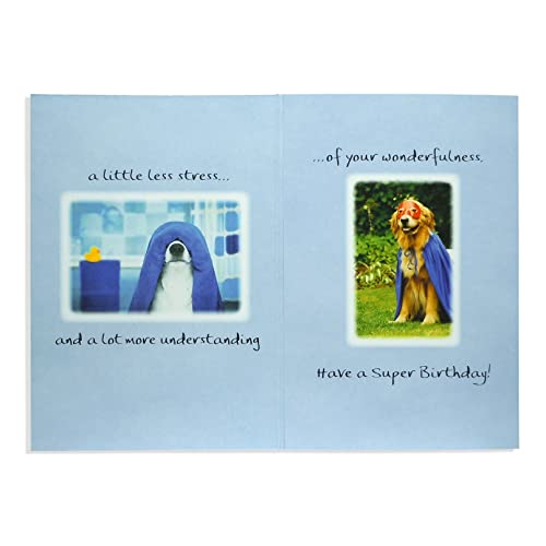 Blue Mountain Arts Birthday Card Assortment—3 Unique Greeting Cards with Uplifting Happy Birthday Wishes for the Special People in Your Life