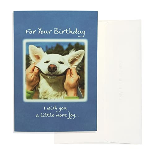 Blue Mountain Arts Birthday Card Assortment—3 Unique Greeting Cards with Uplifting Happy Birthday Wishes for the Special People in Your Life