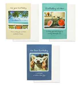 blue mountain arts birthday card assortment—3 unique greeting cards with uplifting happy birthday wishes for the special people in your life