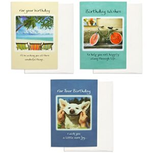 Blue Mountain Arts Birthday Card Assortment—3 Unique Greeting Cards with Uplifting Happy Birthday Wishes for the Special People in Your Life