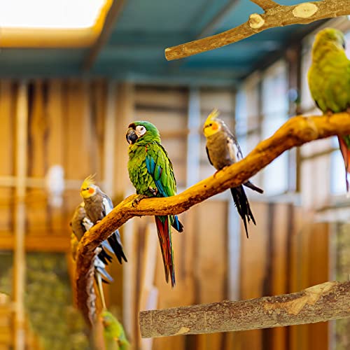 CZWESTC 8 Pieces Natural Wood Bird Perch Wooden Parrot Perch Stand Fork Toys Hanging Multi-Branch Perch Platform Hammock Swing Toy for Macaws, Small Parakeets, Conures, Budgies, Finches