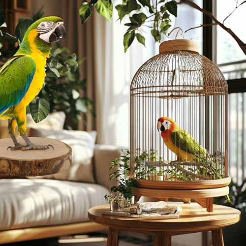 CZWESTC 8 Pieces Natural Wood Bird Perch Wooden Parrot Perch Stand Fork Toys Hanging Multi-Branch Perch Platform Hammock Swing Toy for Macaws, Small Parakeets, Conures, Budgies, Finches