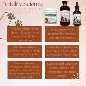 Vitality Science Advanced Immune Restoration Supplements for Dogs | Intense Regeneration Protocol | Helps with Pain Relief (Medium)