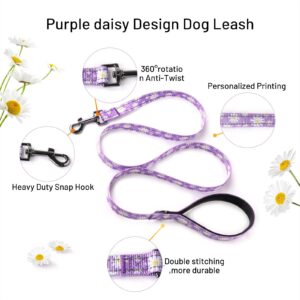 QQPETS Dog Harness Collar Leash - No Pull Pet Adjustable Back Clip Halter Basic Collar Heavy Duty 5FT Anti-Twist Leash for Extra Small Puppy Medium Large Breed Training Running