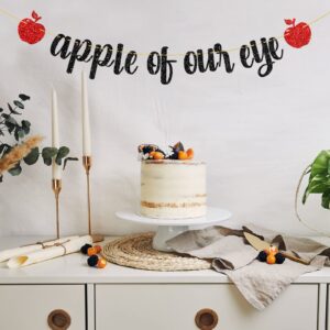 WeBenison Apple of Our Eye Banner/Fruit Apple Theme 1st Birthday Banner/Baby Shower/Wedding/Boys Girls Birthday Party Decoration Supplies Black Glitter