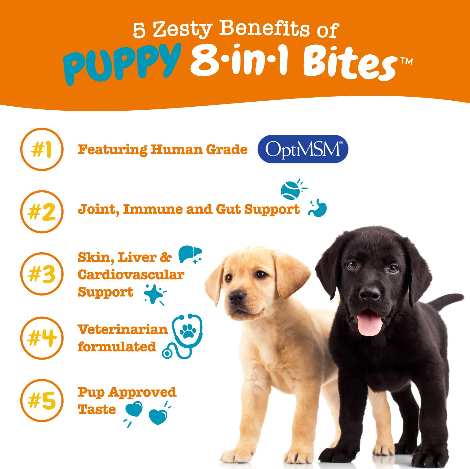 Zesty Paws Puppy 8-in-1 Multivitamin Soft Chews + Puppy Calming Soft Chews