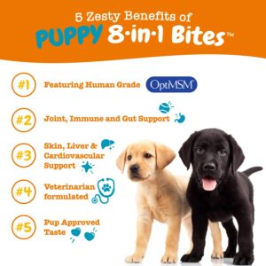 Zesty Paws Puppy 8-in-1 Multivitamin Soft Chews + Puppy Allergy & Immune Soft Chews