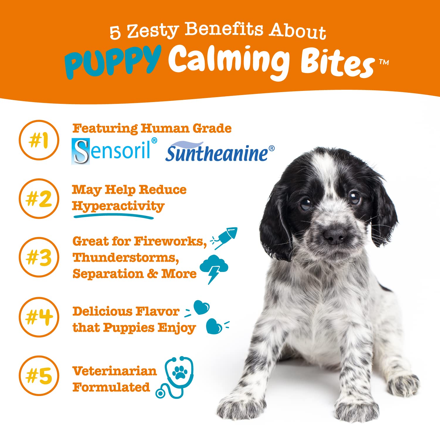 Zesty Paws Puppy Allergy & Immune Soft Chews + Puppy Calming Soft Chews