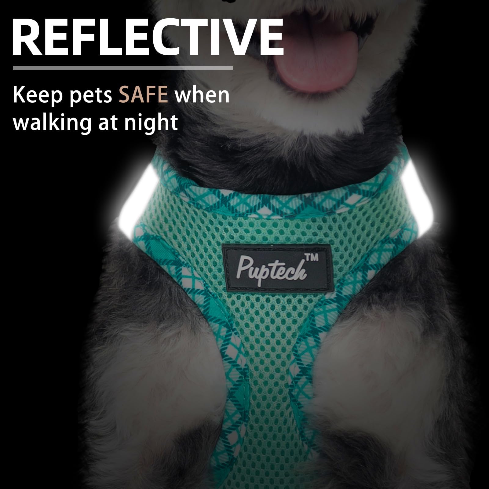 PUPTECK Dog Harness and Leash Set for Small Medium Dogs No Pull Step-in Soft Mesh Puppy Cat Vest Harnesses Reflective at Night, Green S