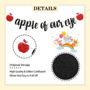 WeBenison Apple of Our Eye Banner/Fruit Apple Theme 1st Birthday Banner/Baby Shower/Wedding/Boys Girls Birthday Party Decoration Supplies Black Glitter