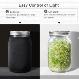 SBMKK Seed Sprouting Jar Kit - 2 Wide Mouth Mason Jars with 316 Stainless Steel Sprouting Lids Covers, Drip Tray and Stand for Growing Broccoli Alfalfa Beans Sprout (Two Jars)