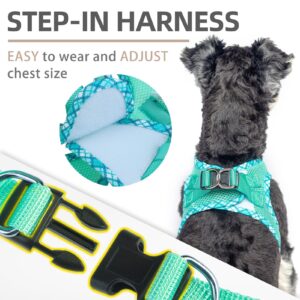 PUPTECK Dog Harness and Leash Set for Small Medium Dogs No Pull Step-in Soft Mesh Puppy Cat Vest Harnesses Reflective at Night, Green S