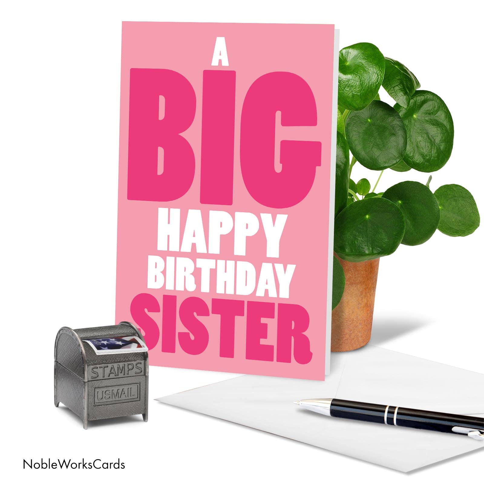 NobleWorks Birthday Sister Greeting Card with 5 x 7 Inch Envelope (1 Card) Big Happy Birthday Sister C5971BSG