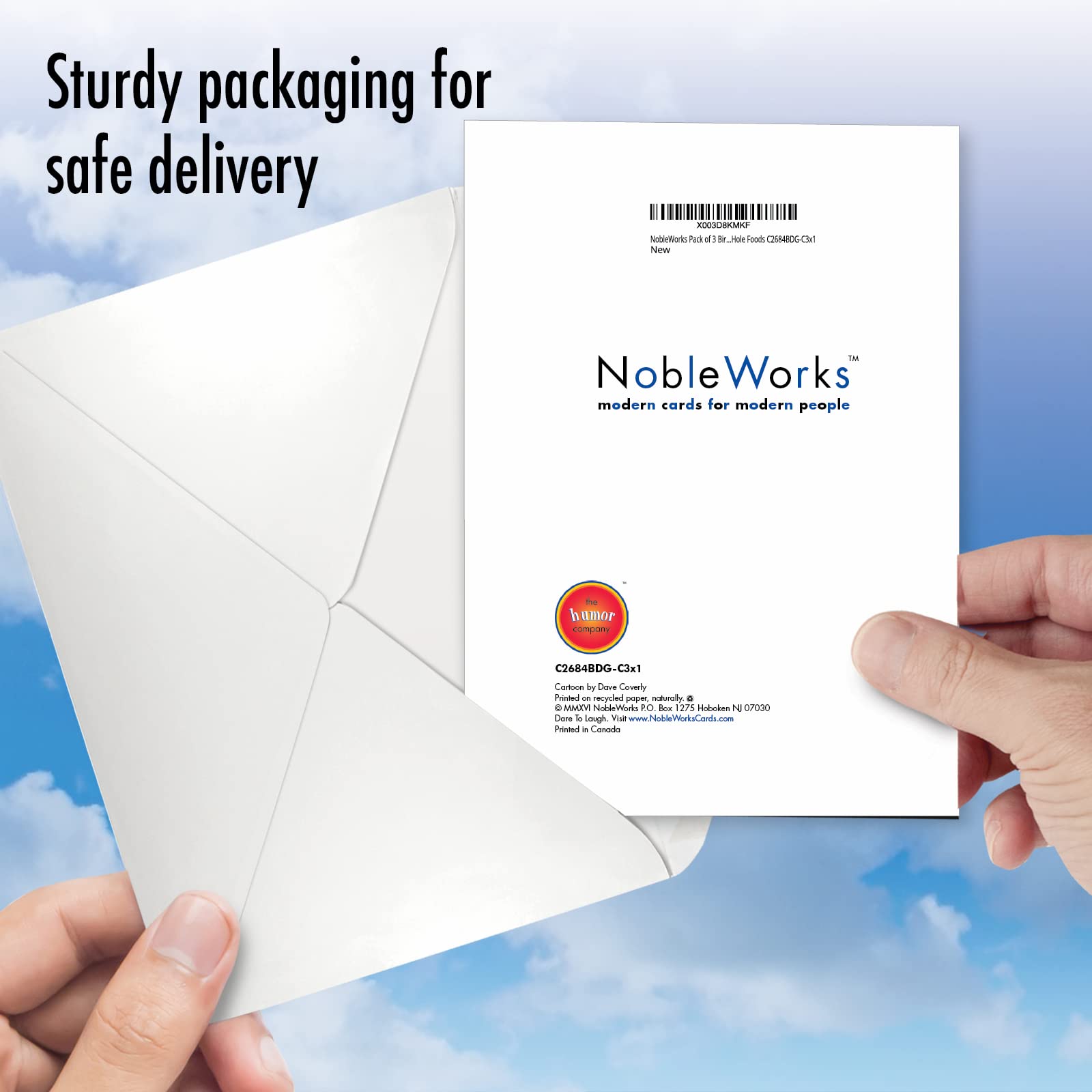 NobleWorks Pack of 3 Birthday Greeting Cards with Envelopes (1 Designs, 3 Each) Hole Foods C2684BDG-C3x1