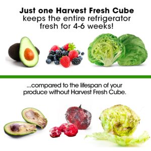 Harvest Fresh Cube Produce Saver | Extend produce shelf life up to 4 to 6 weeks | Simply unwrap and forget! | Pack of 2 | 180 Day Supply