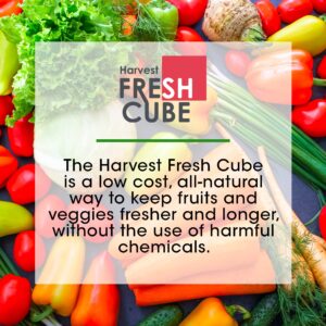 Harvest Fresh Cube Produce Saver | Extend produce shelf life up to 4 to 6 weeks | Simply unwrap and forget! | Pack of 2 | 180 Day Supply