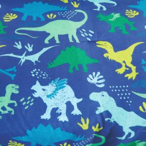 Blue Dinosaurs Print Comforter Set for Boys Girls teen, Twin size bedding for kids bedroom include comforter fitted sheet pillow sham and Dinosaur Pillow (Blue Dinosaurs, Twin)