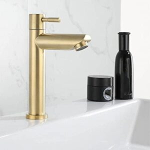 Brushed Gold Bathroom Basin Single Hole Cold Handle Shower Head Faucet Bath For Kitchen Sink Water Tap SUS304 Toilet Hardware,Black Single Cold(S),China